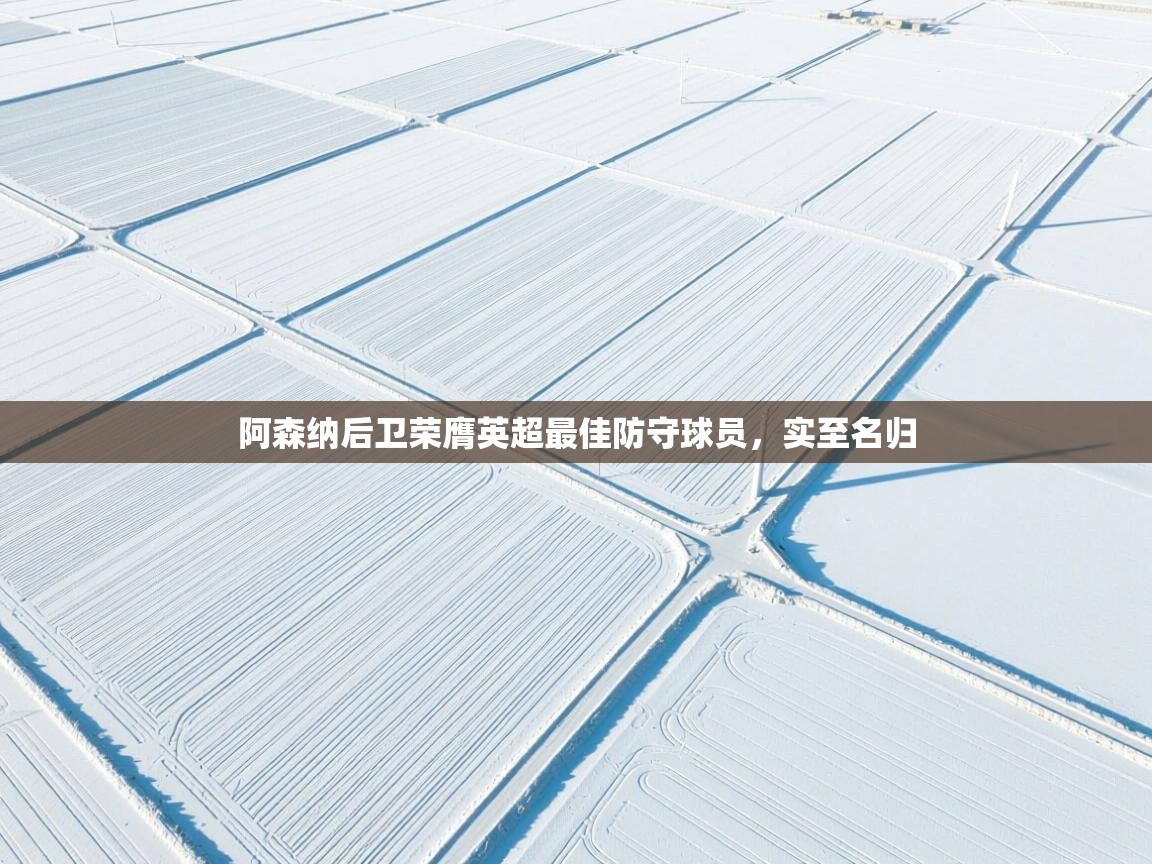 阿森纳后卫荣膺英超最佳防守球员，实至名归