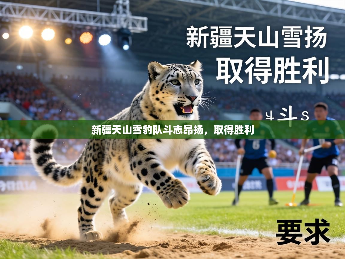 新疆天山雪豹队斗志昂扬,取得胜利 第2张