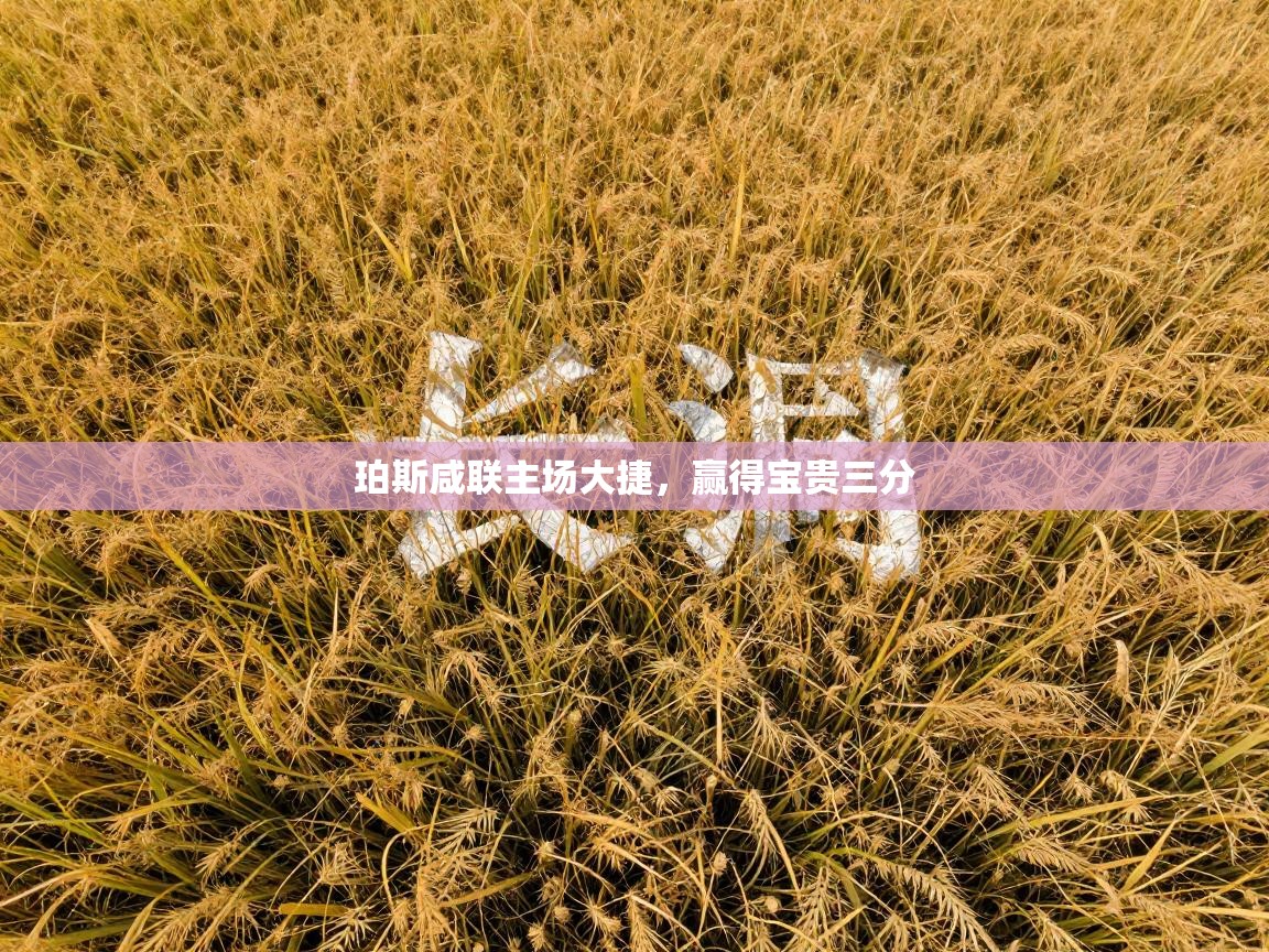 珀斯咸联主场大捷，赢得宝贵三分